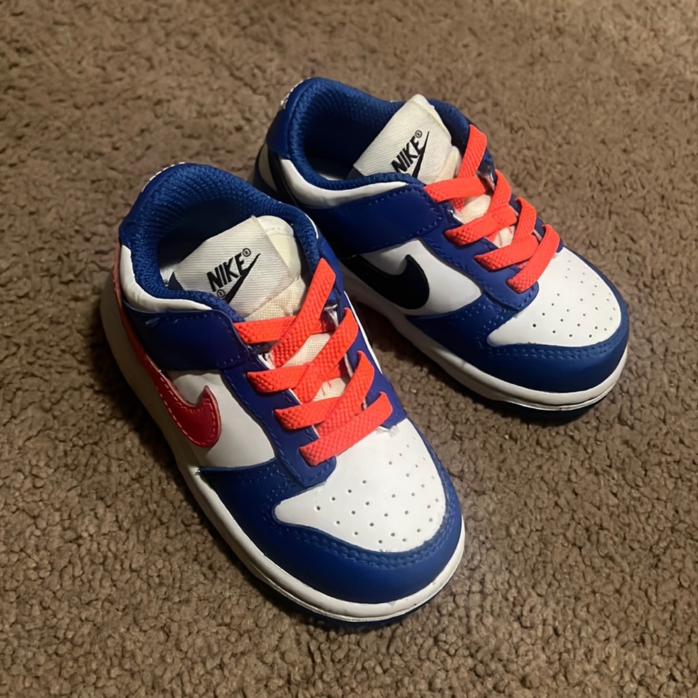 Toddler Nike Dunks 6c